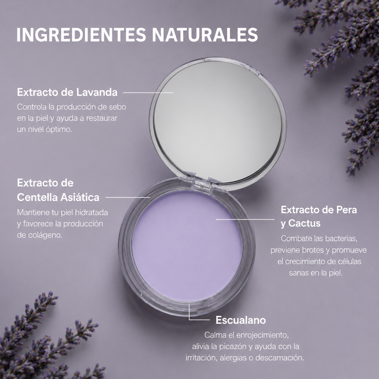 🟣 Polvo mate de lavanda